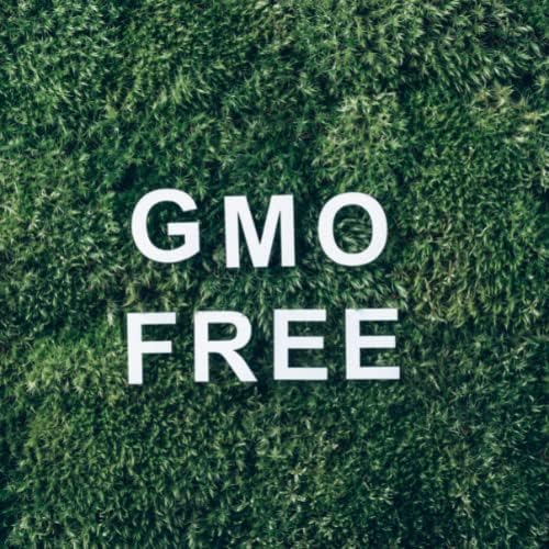 רגעים מיסטיים | שמן אתרי ניאולי 500 גרם - שמן טהור וטבעי למפזרים, ארומתרפיה ועיסוי תערובות טבעוניות GMO בחינם